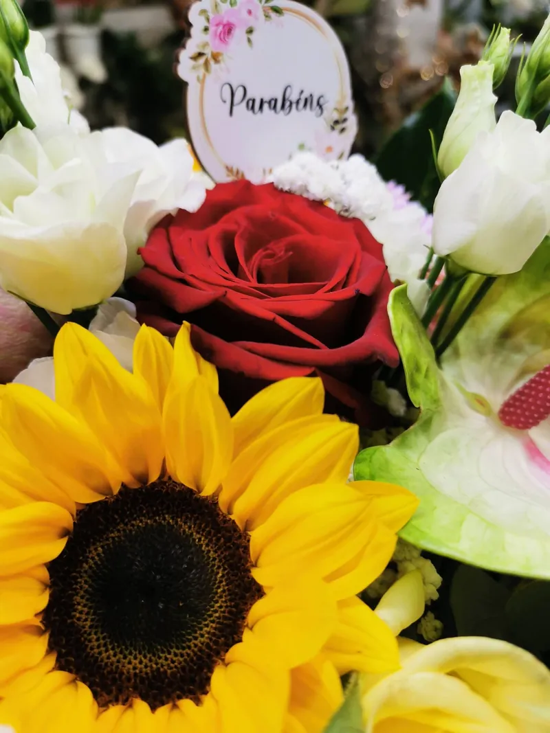 Pormenor de girassol, rosa vermelha e lisianthus branco com topo de Parabéns